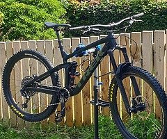Trek remedy 8