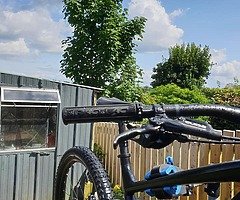 Trek remedy 8