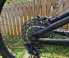 Trek remedy 8 - Image 5/8