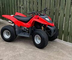 2021 Quad 100cc 100cc