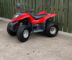 2021 Quad 100cc 100cc