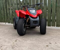 2021 Quad 100cc 100cc - Image 5/6