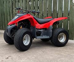 2021 Quad 100cc 100cc - Image 6/6