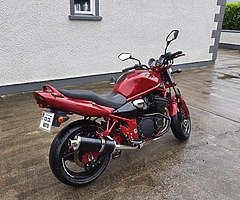 Suzuki bandit GSF 600 - Image 5/10