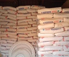 BUSINESS - Image 5/8