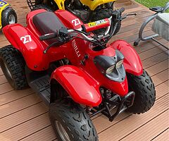 LT50, LT80 unilli 100cc