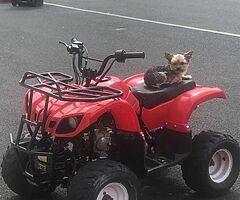 110cc Quad (NON RUNNER)