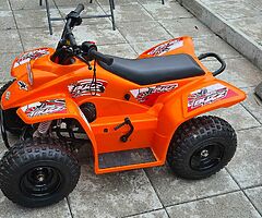 2020 Quadzilla  Buzz