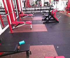 INSANE BODY FITNESS - Image 4/6
