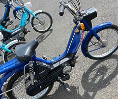 1990 Honda 50 - Image 7/10