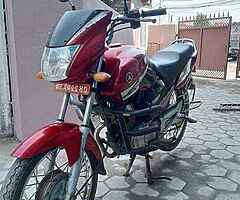 Gladiator  125.cc - Image 4/4