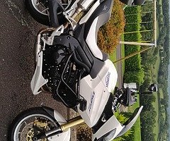 2007 Triumph Tiger - Image 7/8