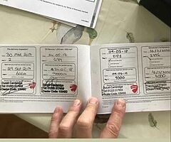 2017 Ducati Multistrada - Image 7/8