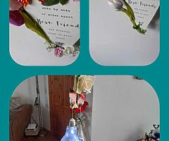 Best friends plague and hanging lights - Image 4/4