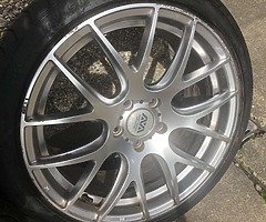 18inch Boston’s - Image 6/6