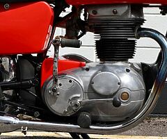 1965 Matchless G2M Clubman Deluxe - Image 10/10