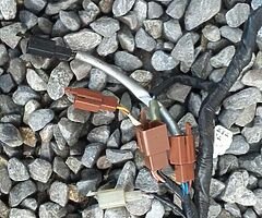 03 r6 wire loom complete - Image 10/10