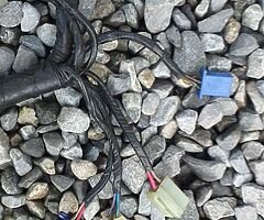 03 r6 wire loom complete - Image 6/10