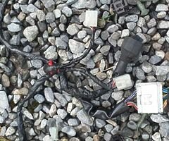 03 r6 wire loom complete - Image 8/10