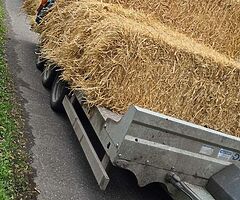 Mtm recovery delivery  service  and we buy all types  scrap unwanted  cars metal etc