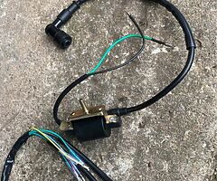 2022 Welsh pit bike￼ 110cc - Image 6/9