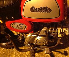 Gorilla monkey bike. 125cc