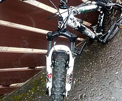 Saracen moutain bike