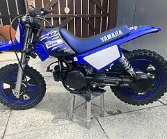 2019 Yamaha PW