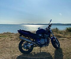 2000 Suzuki Bandit - Image 4/8