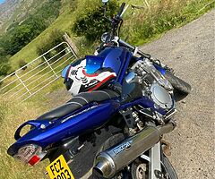 2000 Suzuki Bandit - Image 7/8