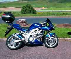 2003 Suzuki SV1000 - Image 3/3