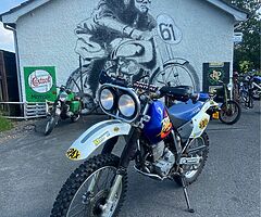 1998 Honda XR250 BAJA - Image 3/4