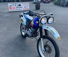 1998 Honda XR250 BAJA - Image 4/4