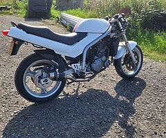 1998 MZ Skorpion Sport Classic - Image 5/5