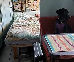 Unique Campervan For Sale