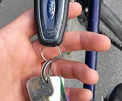 Any 1 loose a ford key