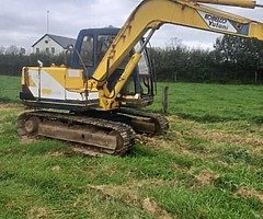OLD DIGGERS MINI DIGGERS OLD ROTTEN PLANT WANTED