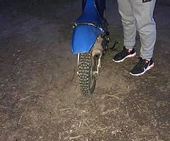 Needs spark cabel - Image 3/3