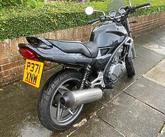 1996 Kawasaki Er5 can be A1 compliant - Image 6/6
