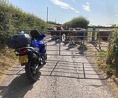 2003 Honda Transalp 650 Xl