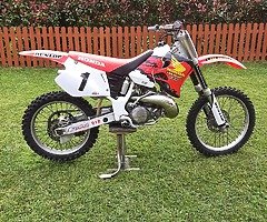 1996 cr 250