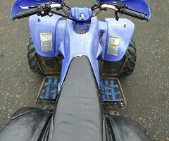 2008 Quad 250cc - Image 4/9