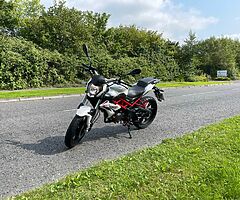 2020 Benelli BN125 - Image 4/10