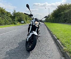 2020 Benelli BN125 - Image 5/10