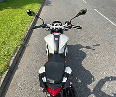 2020 Benelli BN125 - Image 8/10