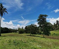 Farmlot for sale!!!!
500sqm lot area for installment!! Free payag Free titleng free livestock!