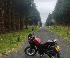 2009 Derbi Terra 125