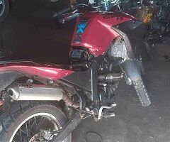 2009 Derbi Terra 125