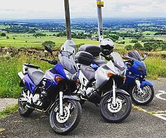 2003 Honda XL - Image 4/5