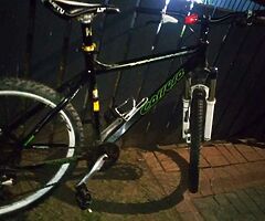 Men's carrera Mountain bike forsale